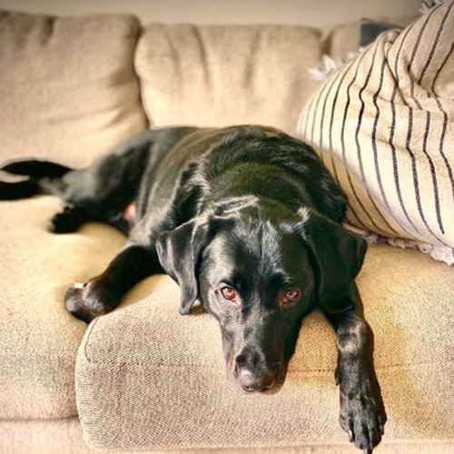 Jax