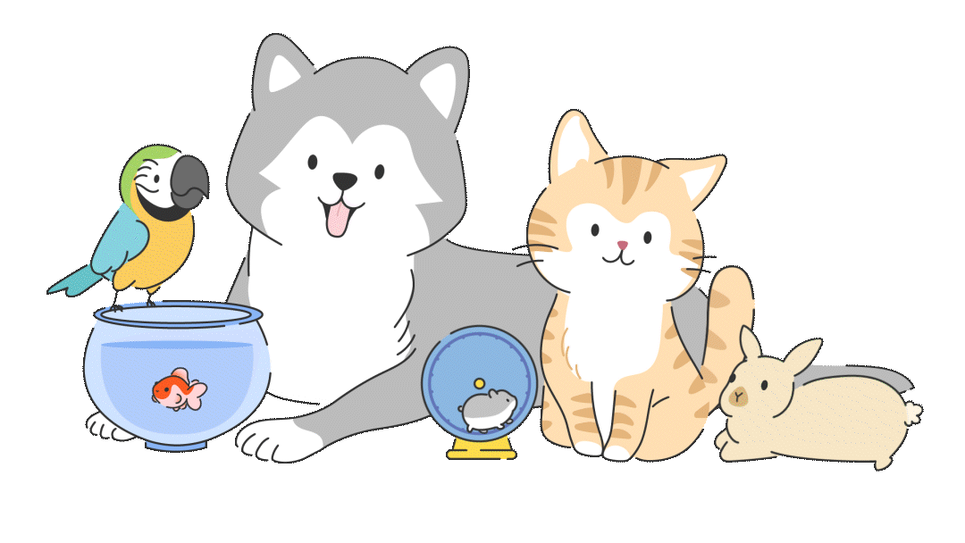 cartoon animals